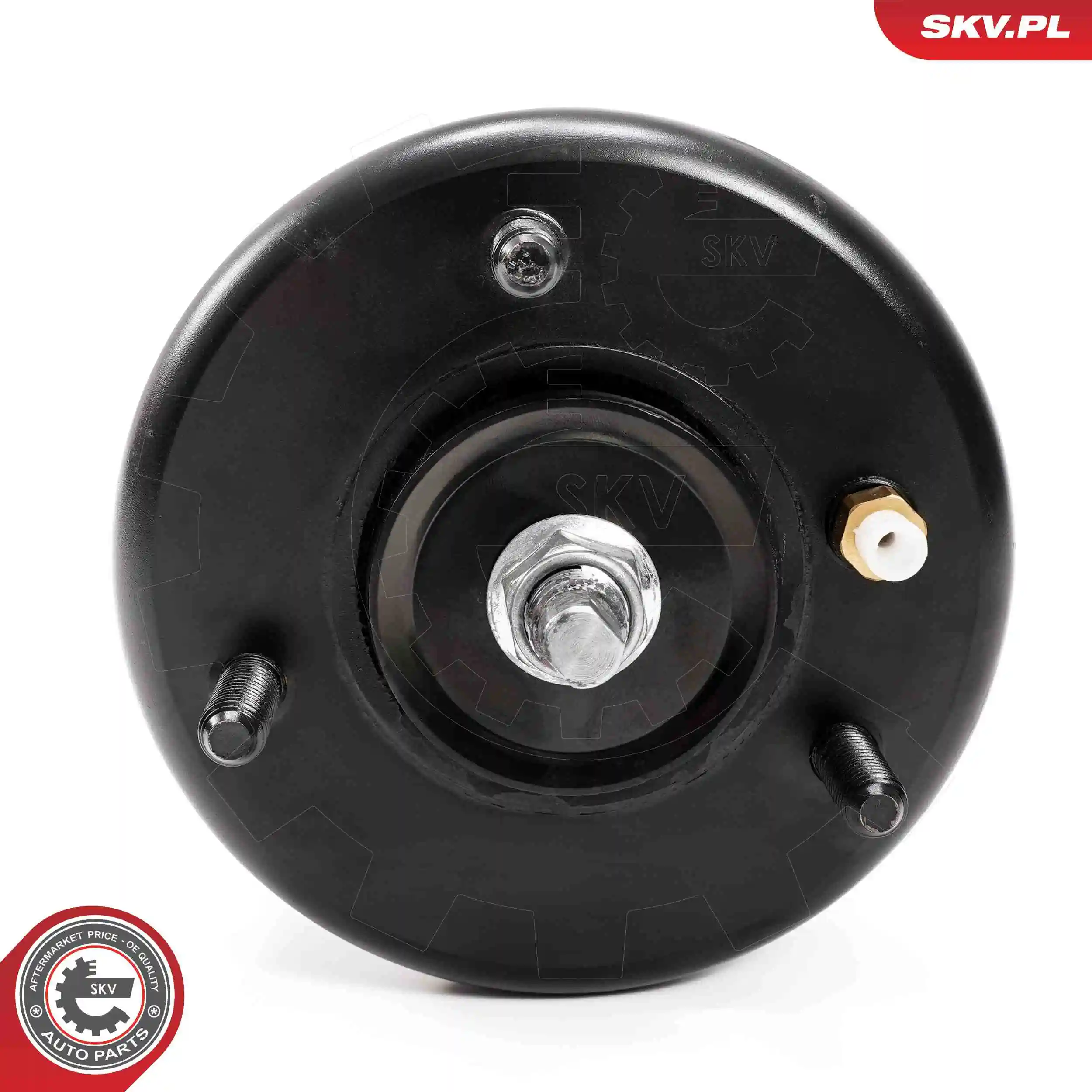 Air Suspension Strut 58SKV711