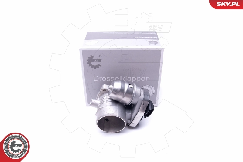 Cuerpo de mariposa 12SKV080