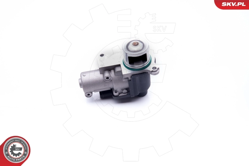 EGR Valve 14SKV170