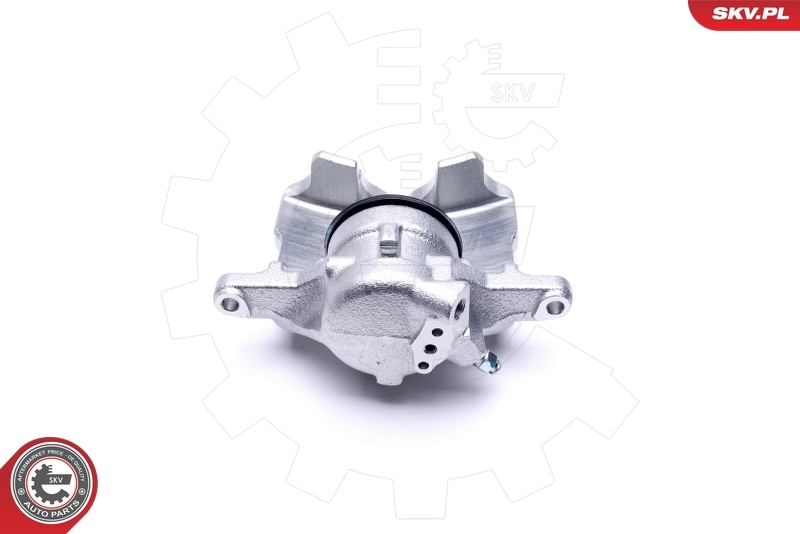 Brake Caliper 46SKV001
