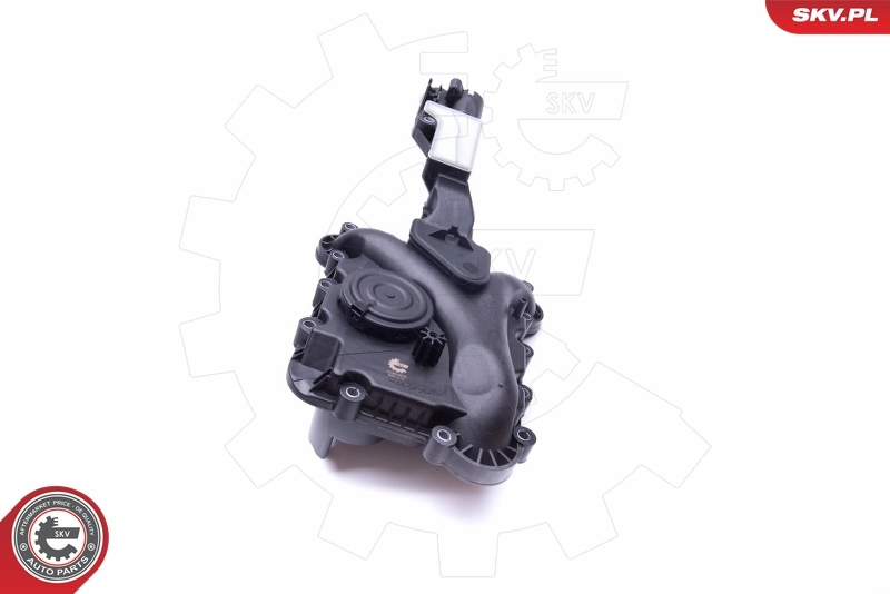 Valve, crankcase ventilation 31SKV078
