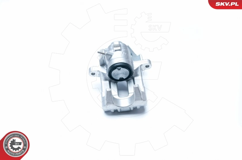 Brake Caliper 23SKV324