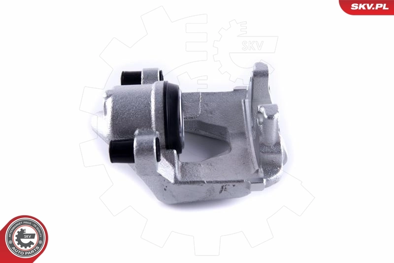 Brake Caliper 55SKV251