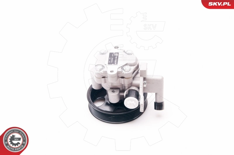 Hydraulic Pump, steering 10SKV214