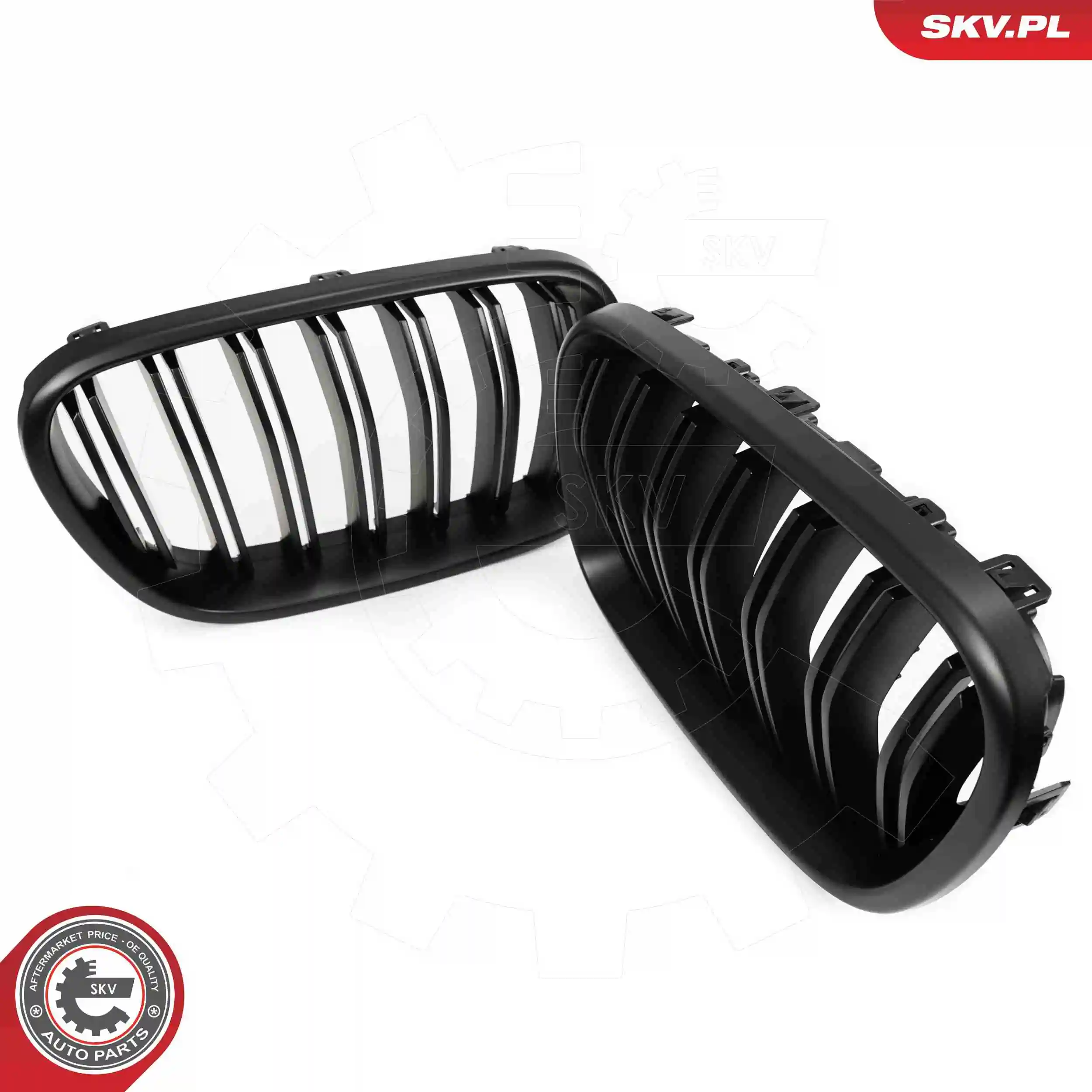 ESEN SKV 66SKV253 Radiator Grille
