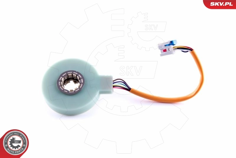 Steering Angle Sensor 17SKV481