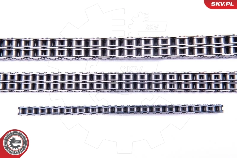 Timing Chain Kit 21SKV202