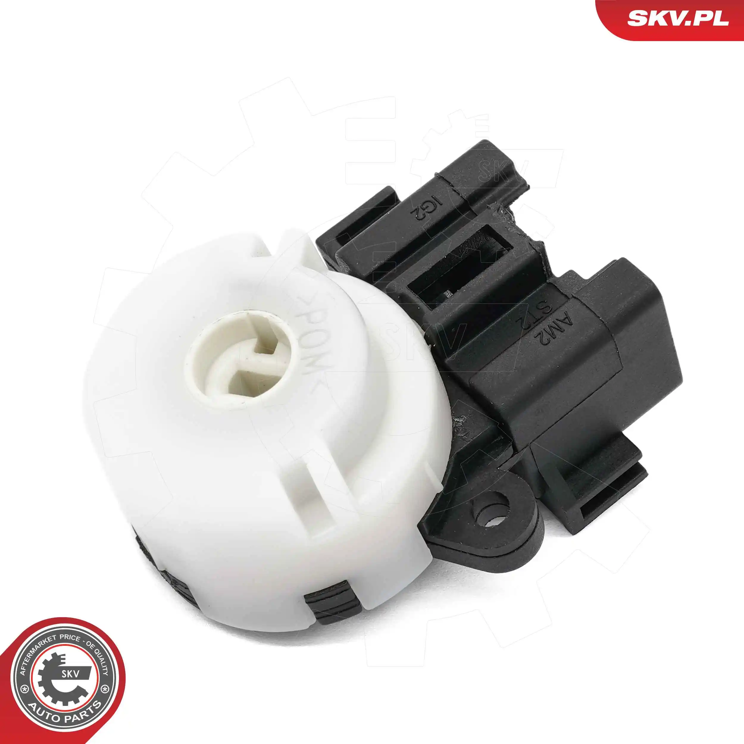 Ignition Switch 65SKV008