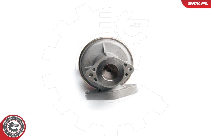 EGR Valve 14SKV097