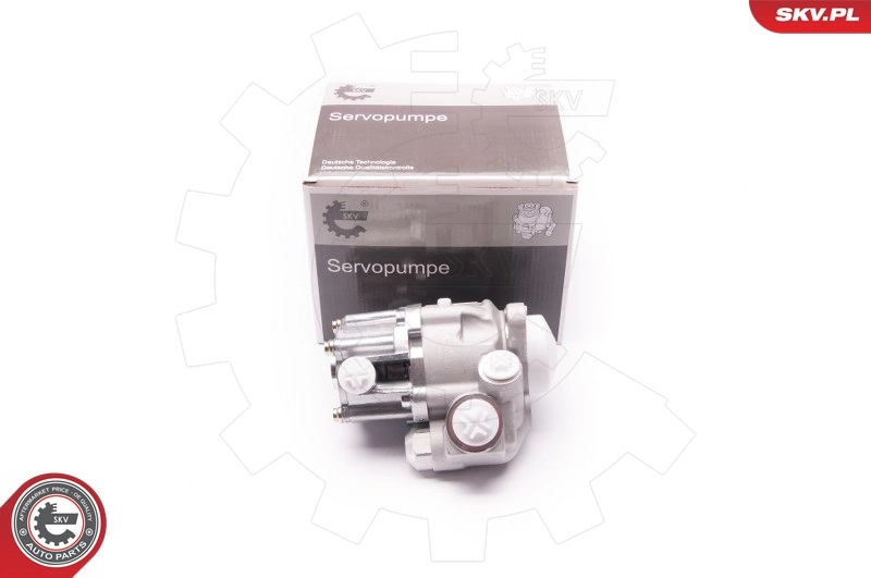 Hydraulic Pump, steering 1SKV0002