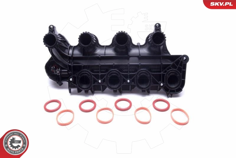 Intake Manifold Module 49SKV065