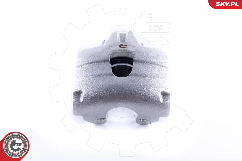 Brake Caliper 50SKV992