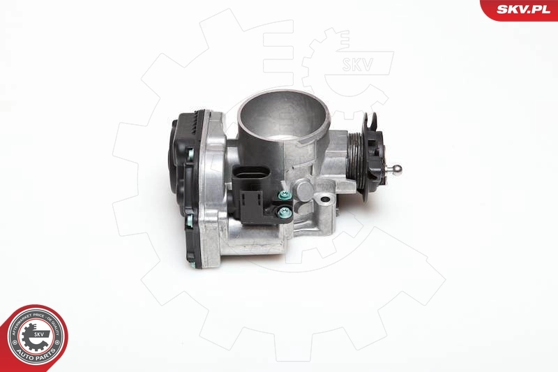ESEN SKV 12SKV006 Throttle Body