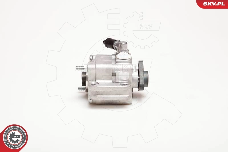 Hydraulic Pump, steering 10SKV088