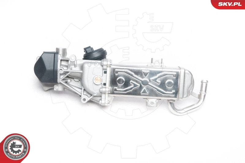 EGR Valve 14SKV094