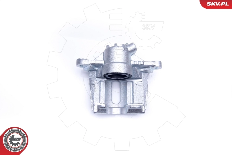Brake Caliper 42SKV842
