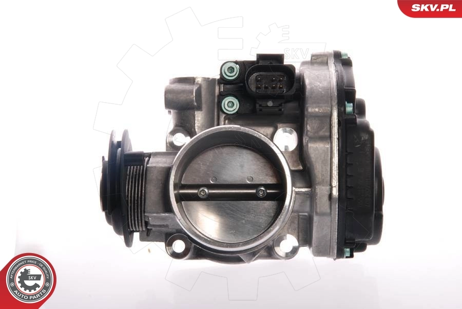 Throttle Body 12SKV019