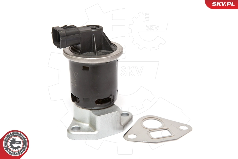 EGR Valve 14SKV070