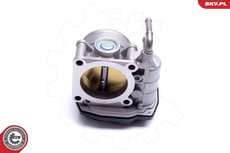 Throttle Body 12SKV122
