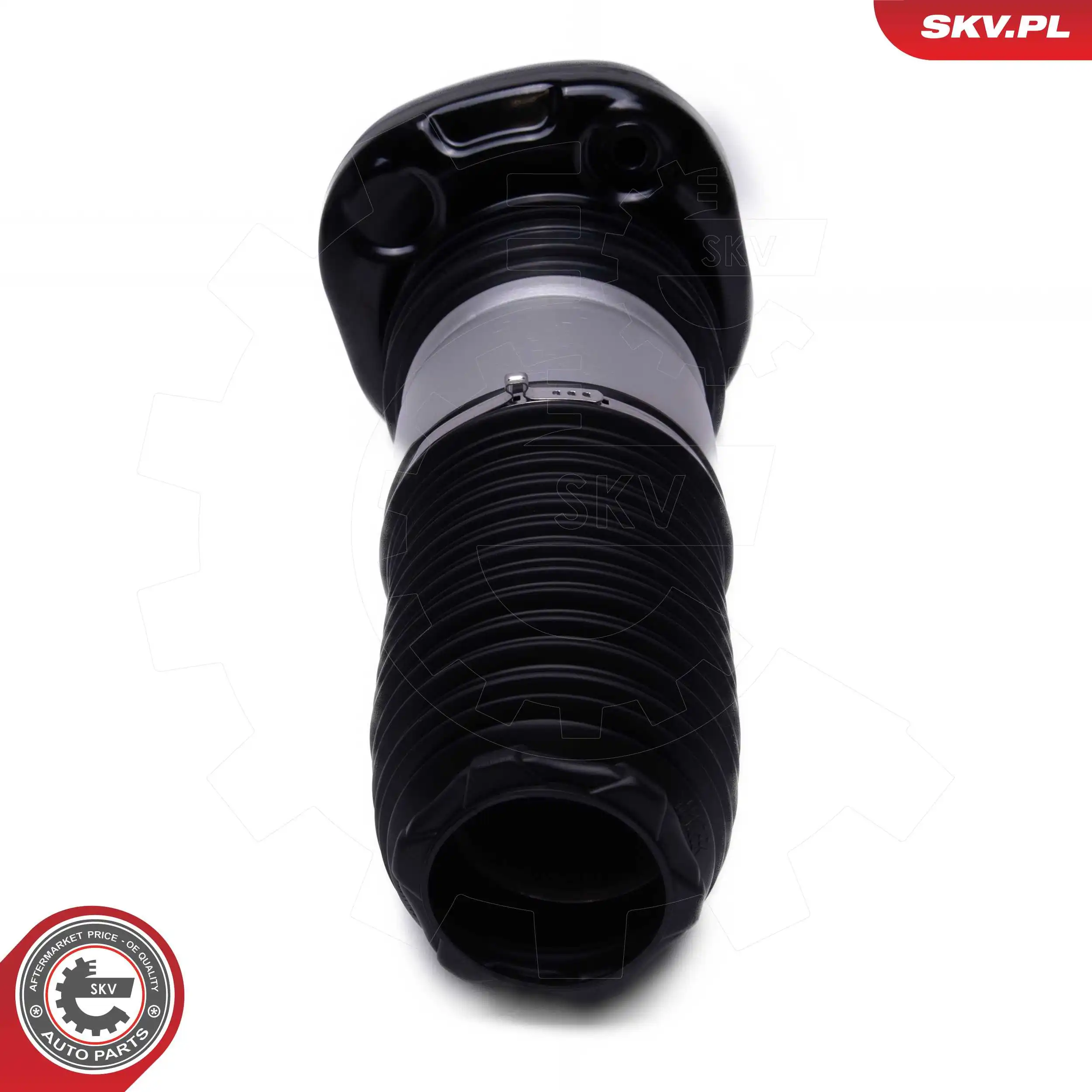 Air Suspension Strut 58SKV082