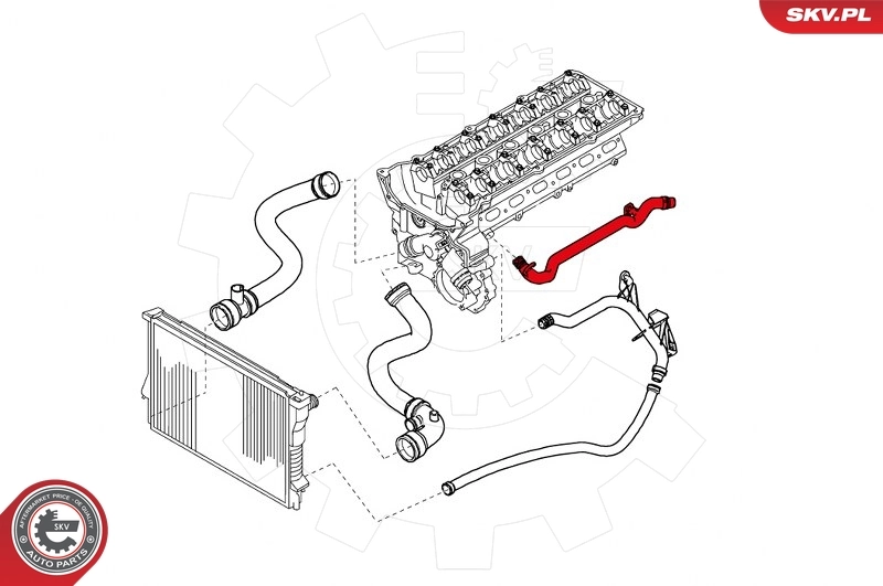 Radiator Hose 24SKV377