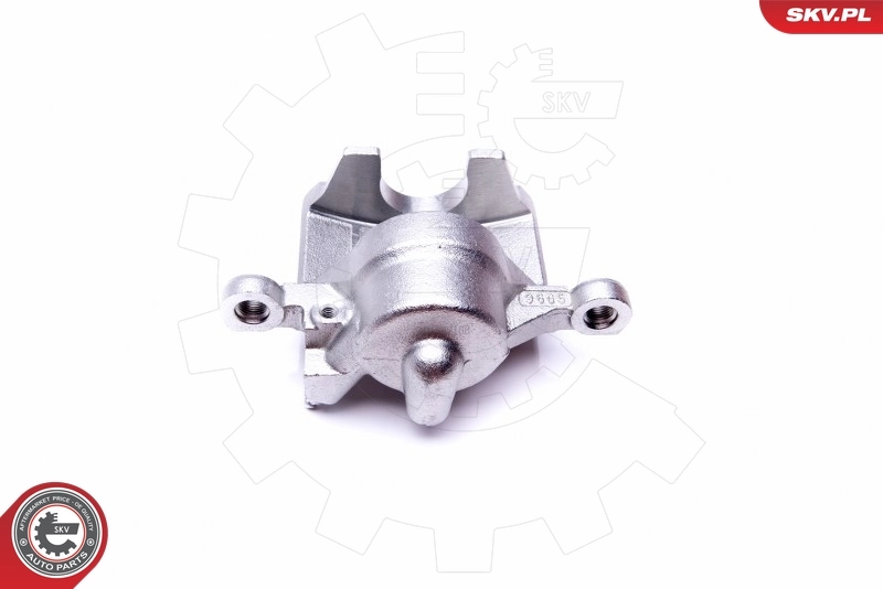 Brake Caliper 45SKV691