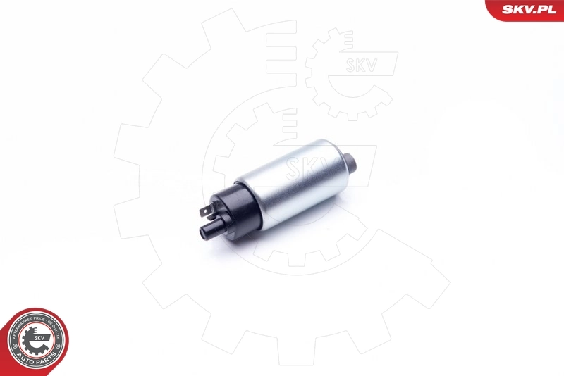 ESEN SKV 02SKV282 Fuel Pump