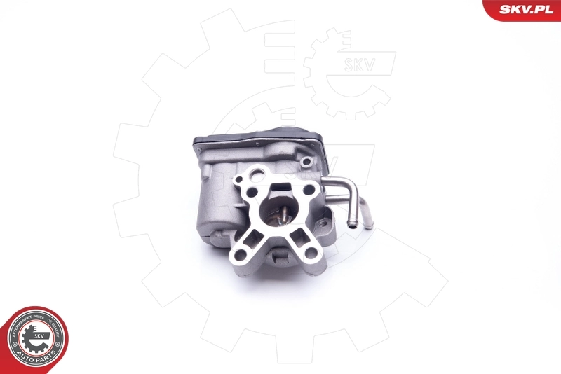 EGR Valve 14SKV189