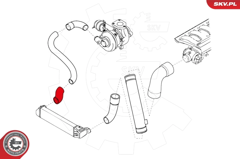 Charge Air Hose 24SKV152