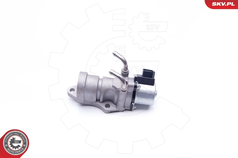 EGR Valve 14SKV190