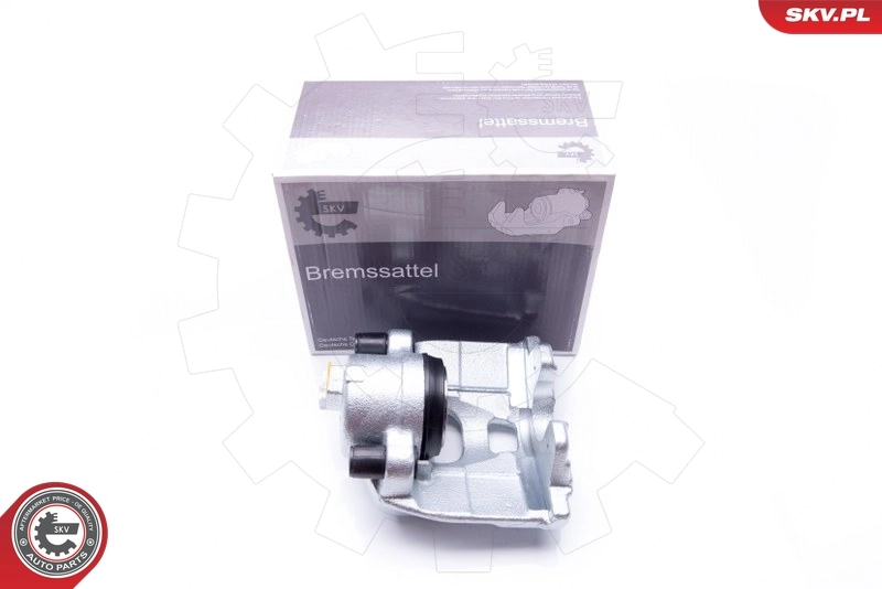 Brake Caliper 42SKV052