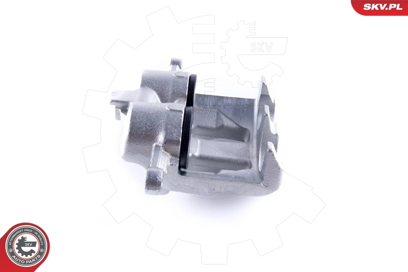 Brake Caliper 50SKV891