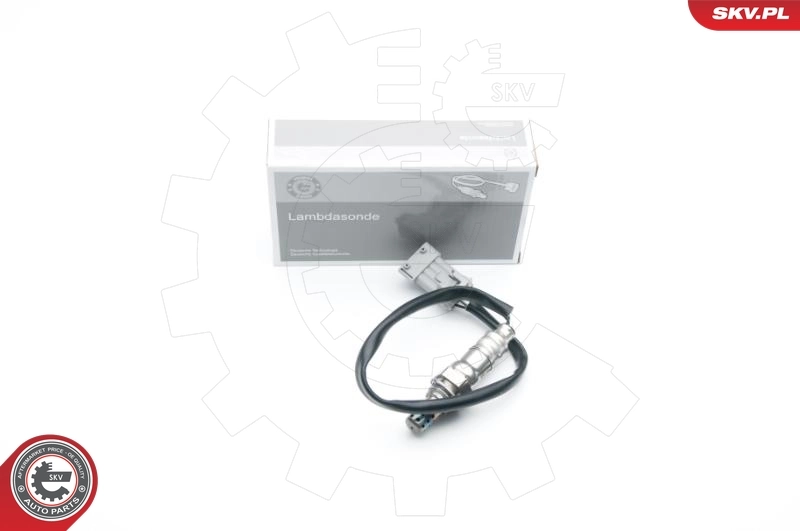 Oxygen Sensor 09SKV687