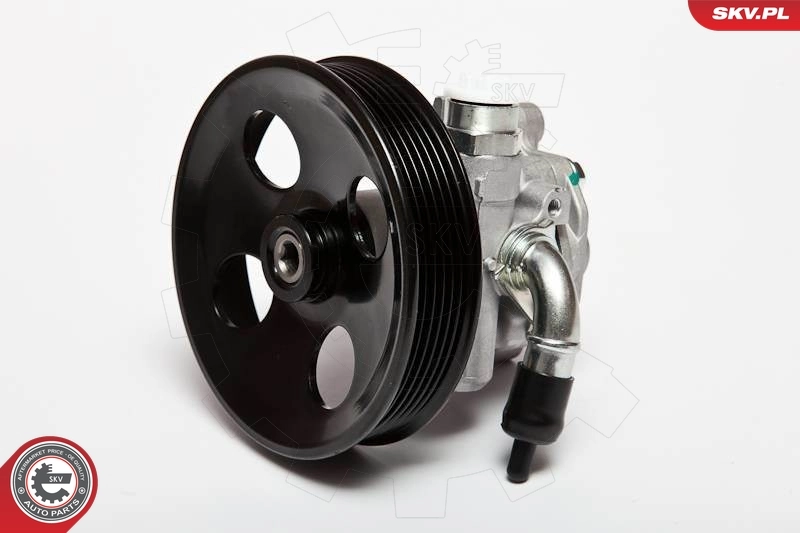 Hydraulic Pump, steering 10SKV006