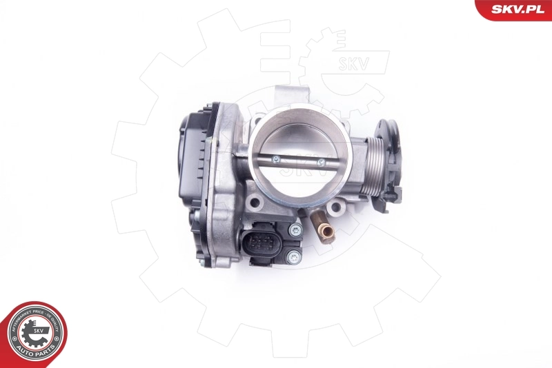 Throttle Body 12SKV035