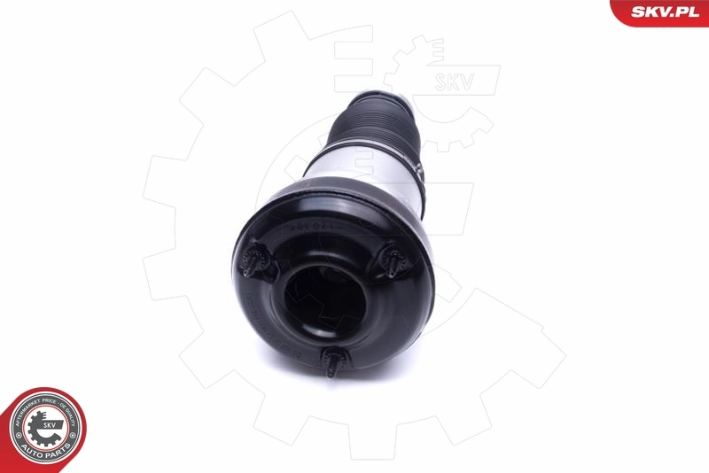 Air Suspension Strut 58SKV065