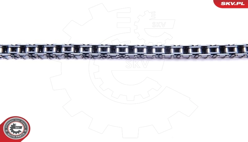 Timing Chain Kit 21SKV184