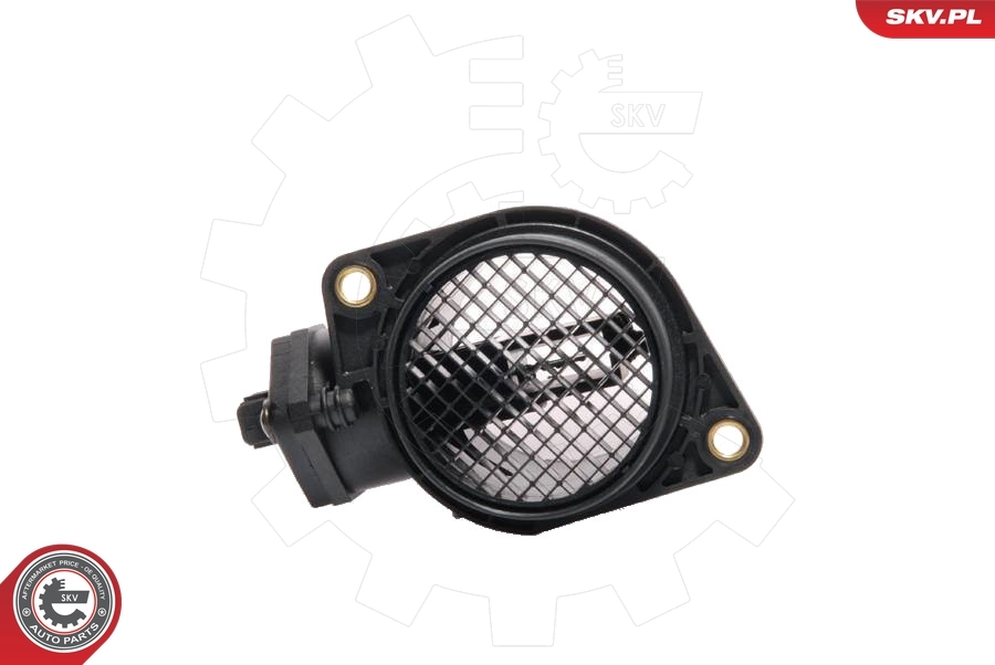 Mass Air Flow Sensor 07SKV009