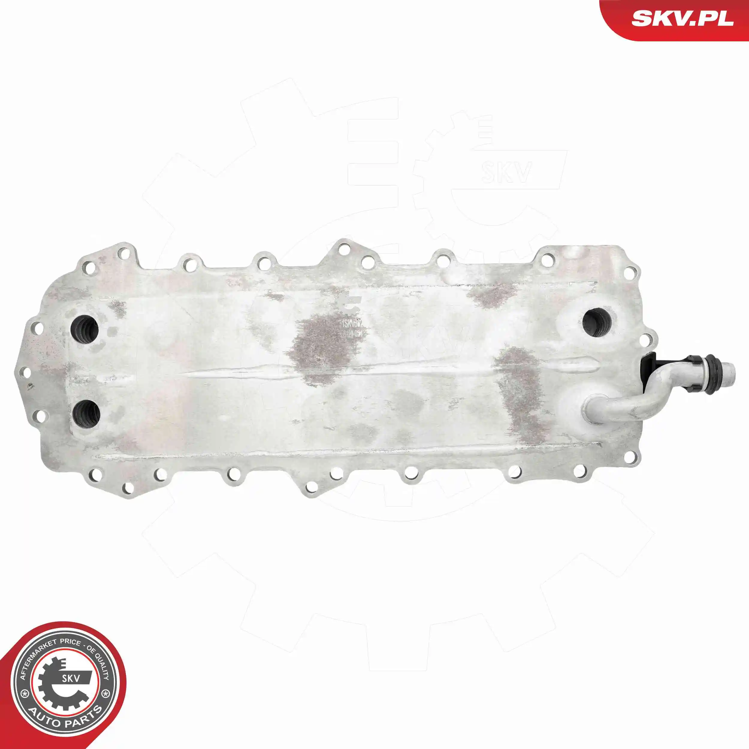 Oil Cooler, engine oil 31SKV362