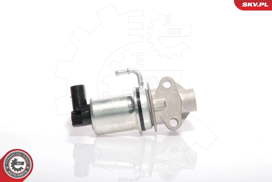 EGR Valve 14SKV018