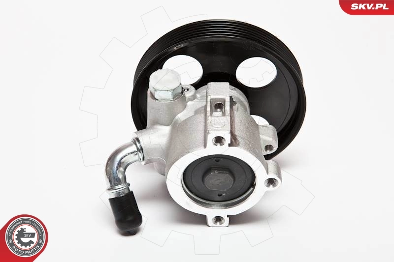 Hydraulic Pump, steering 10SKV002