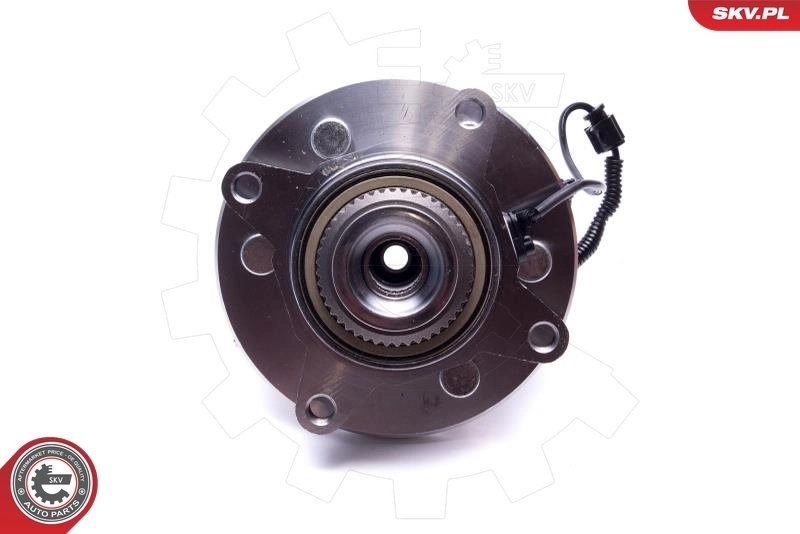 ESEN SKV 29SKV553 Wheel Bearing Kit