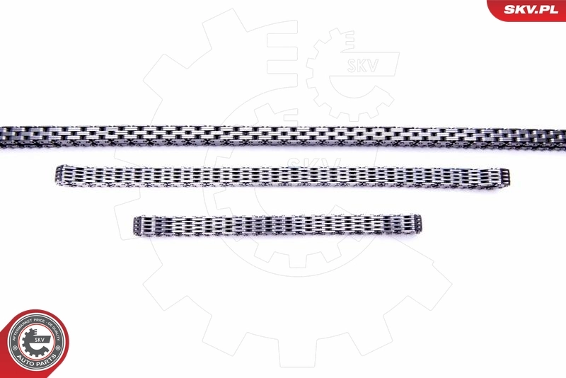 Timing Chain Kit 21SKV163