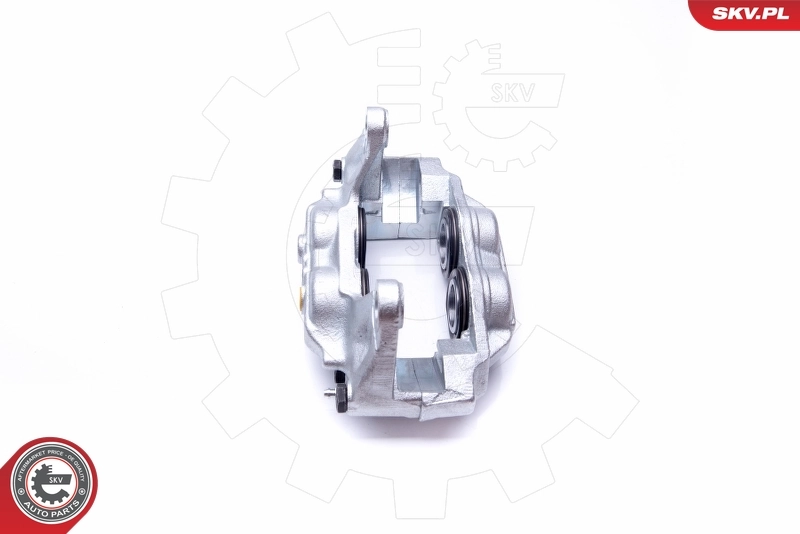 Brake Caliper 42SKV172
