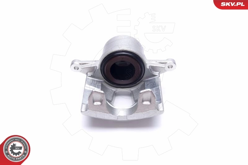 Brake Caliper 50SKV131