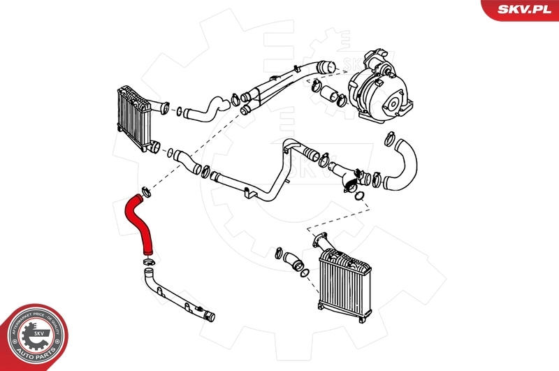 Charge Air Hose 24SKV193