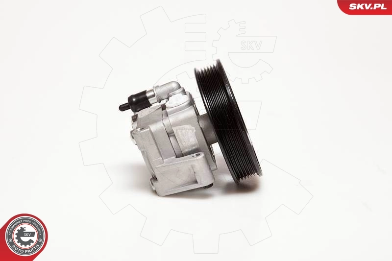 Hydraulic Pump, steering 10SKV050