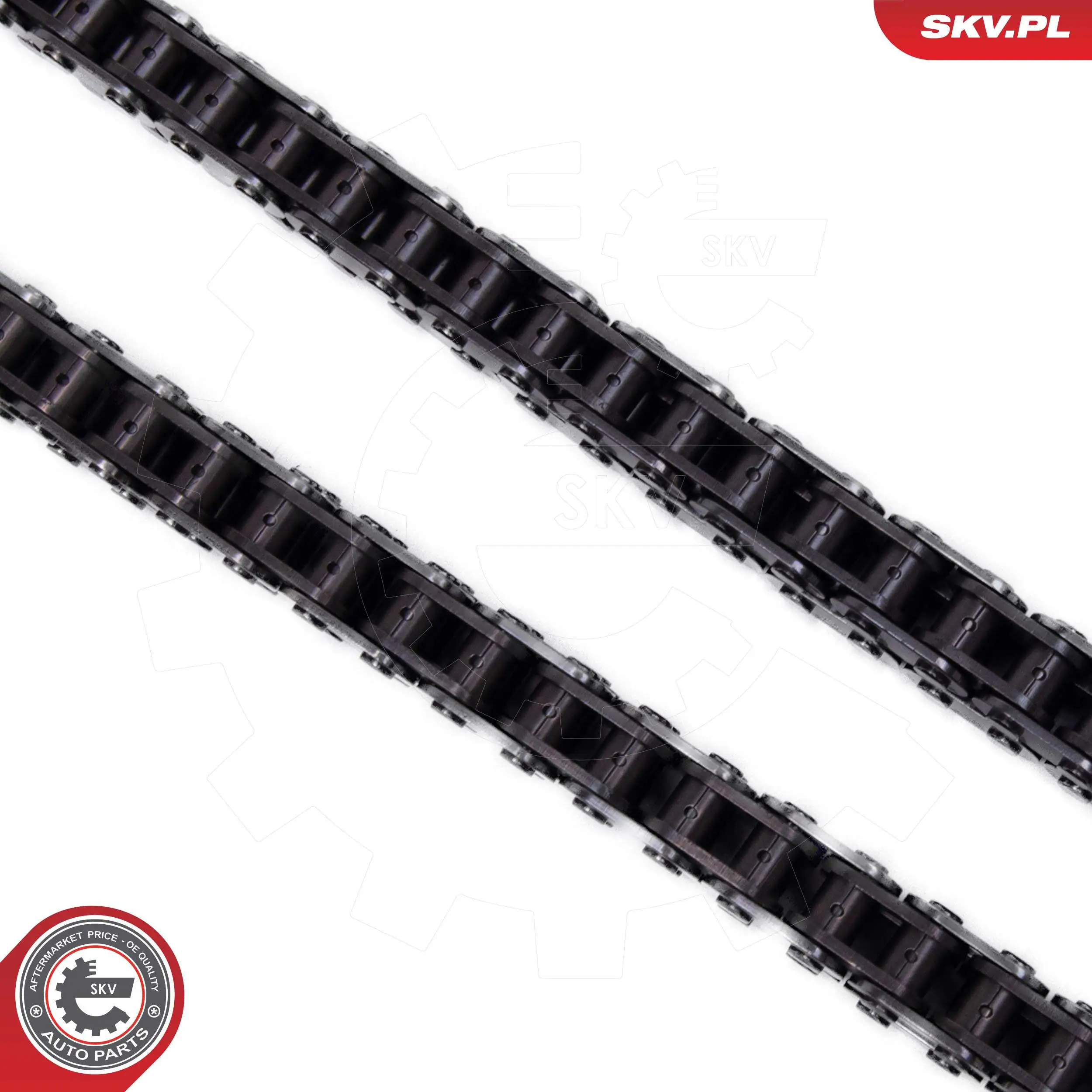 Timing Chain Kit 21SKV166