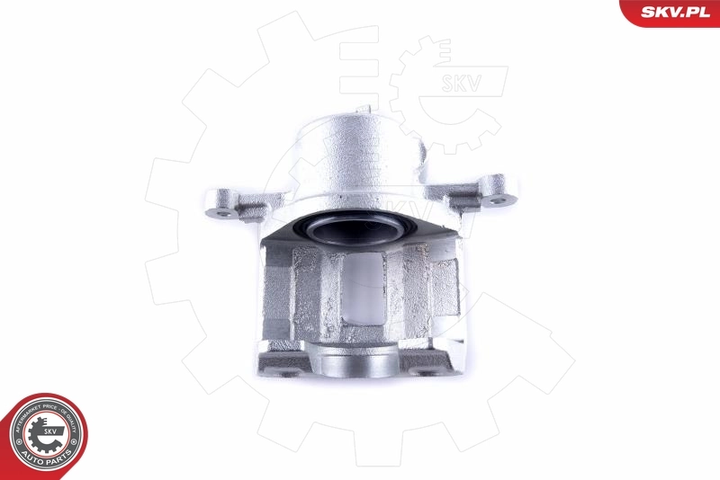 Brake Caliper 55SKV102