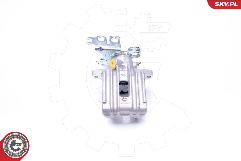 Brake Caliper 42SKV043